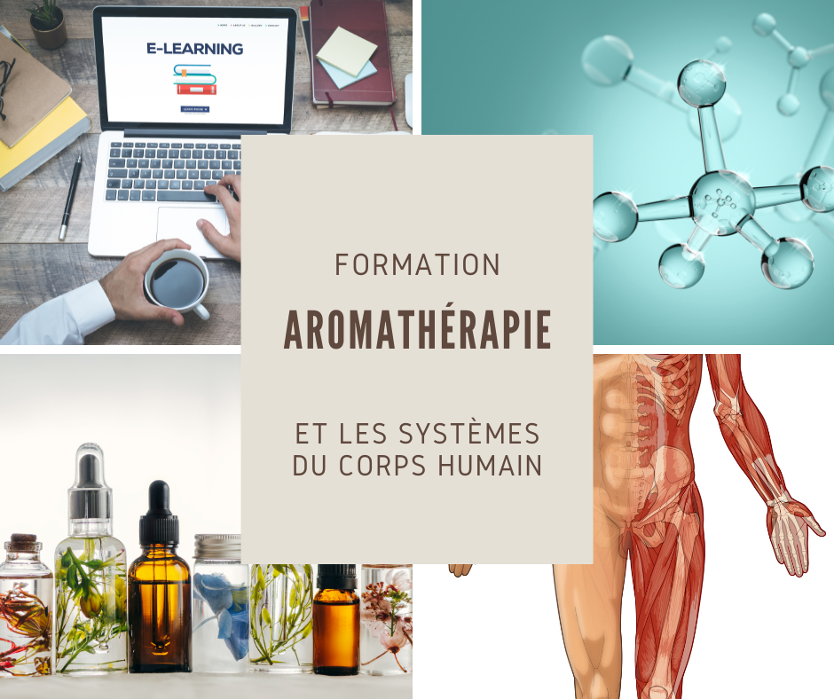 Formation en aromathérapie appliquée aux systèmes du corps humain – huiles essentielles, anatomie et usage thérapeutique