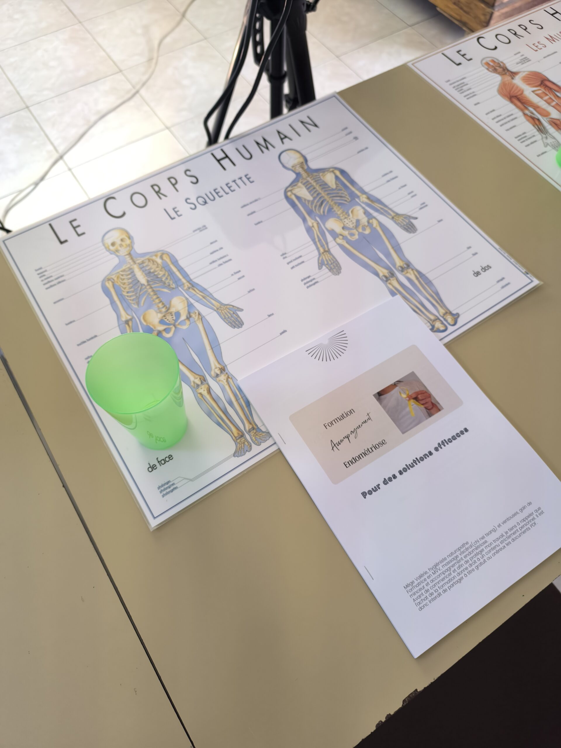 Photo prise lors d’une formation endométriose en présentiel avec la formatrice Kifbody